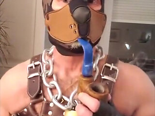 Pupdad