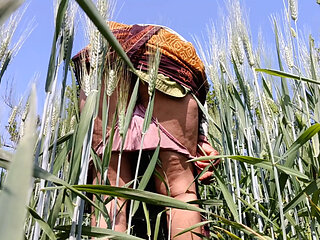 In the outdoor wheat field, she became a mare sucking a cock and fucking her pussy, in front of her father-in-law, daughter-in-l