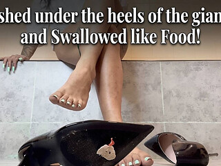 Crushed Under the Heels of the Giantess and Swallowed Like Food!