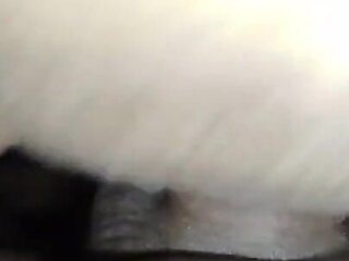 My Husband Licked My Pussy, I Sucked His Dick
