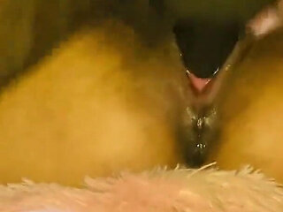 Incel Fucked Hard Young Hotwife Pussy