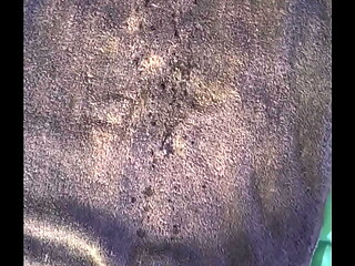 Massive cumshot