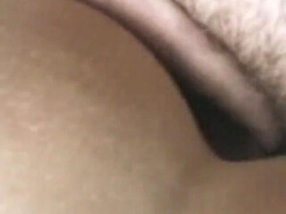 Perversion Warehouse