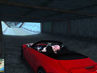 having sex in the car