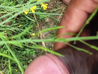 "I went to the mustard field and saw my stepaunt and started jerking