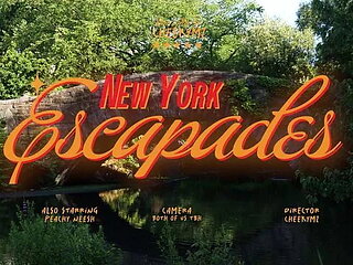 SEXY NEW YORK VLOG ft. Peachyneesh