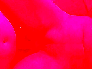 Making Love with My Wife "VERTICAL" Part 1