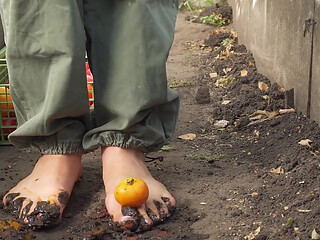 Squashing Tomatoes Barefoot in the Dirt Asmr