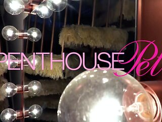 Pet of the Month October 2020