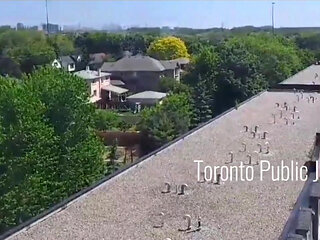Jerking on my balcony over Toronto skyline and Hwy 401