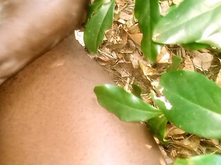 Romance in the bush well