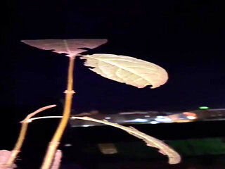 Risky Fun Around My City!