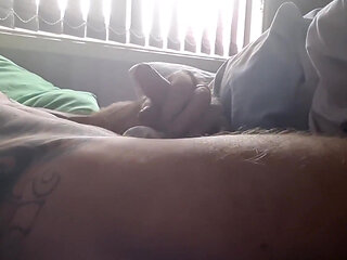 Masturbate, Edgeing Cock Gentle Tease Pre Cum