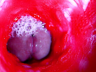 Extreme close-up ASMR head inside wet pussy