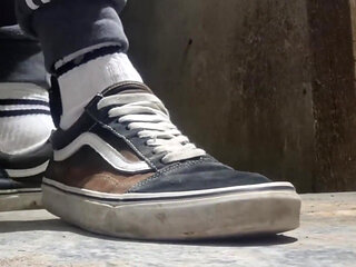 I'm Showing off My Vans Shoes, a Compilation of the Best with Vans
