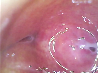 Real pussy orgasm contraction cam inside pussy!!! Sperm found in pussy juice under microscope!!!