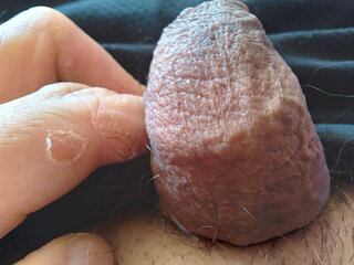 Boy and his monster cock are eager to penetrate