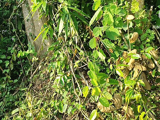 Jungle kam karne ke liye gwa hai