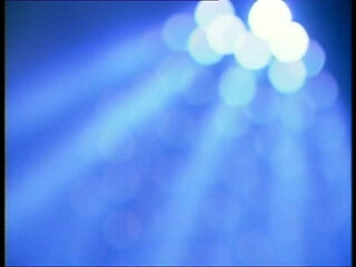 A Stranger Between My Legs