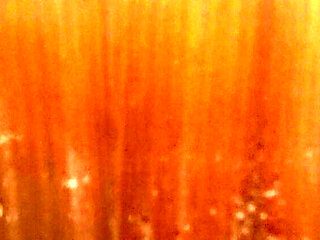 Souzan Halabi First Time Blowjob in Kitchen - Amateur Arab Teen Hijab Girl Dirty Talk Close Up 4K