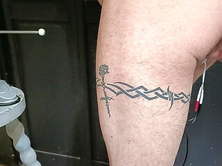 Electro-stimulation games with a penis electrode and a bipolar anal plug