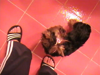 Just a regular night for a czech couple