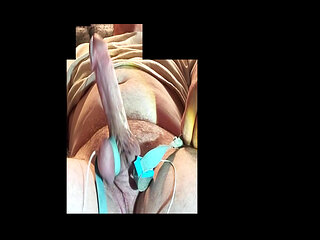 Hands-free edging cumshot with Tens machine estim scrotum electrosex precum solo male cock balls