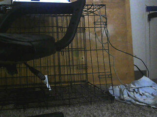 Take for some dick in this ass!