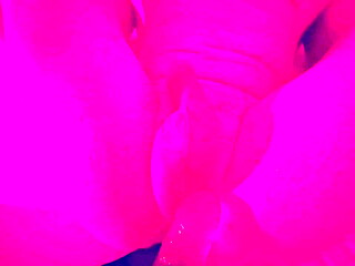 BDSM Hard Pegging