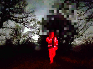 Naked from waist down flashing a car then strip totally naked