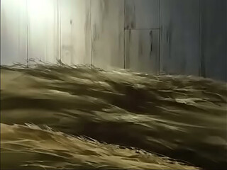 Hentai video