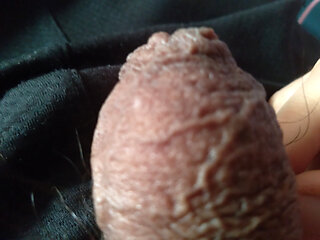 King cock needs your ass