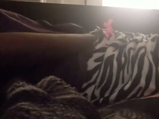 Playing with My Tight Pussy