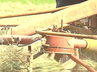 Hot MILFs Are Ready for Cock Riding and Cumshot Outdoor Compilation