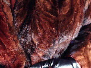 FUR FETISH video: beautiful Mistress tease and seduce. ASMR and JOI. Arya Grander.