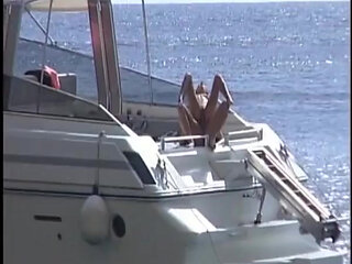 Wild Outdoor Fuck Fest