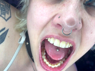 Mouth Tour