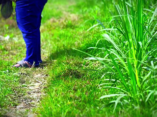 Arab Big Ass BBW Hot College Girl Fucked by Classmate!