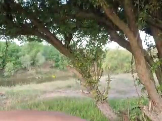 Outdoor MILF Anal Toy and Dildo Masturbation