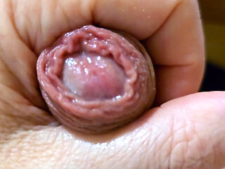 Nice Dick Head Cum and Hot Sperm