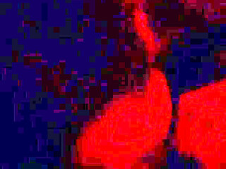 Marianahothot Te Hace La Paja Y Te La Chupa