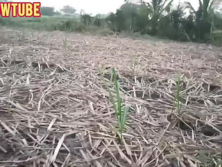 Indian outdoor beautiful outdoor fun and musti kama sutra