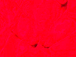 Bangladeshi New Model Have Been First Time Sex for Selection New Models