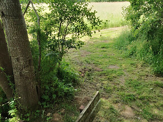 Sex in the forest. I love that.