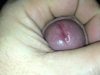 Wonderful Penis to Eat