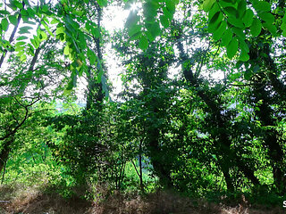 Skinny German Latina Teen Christy Ley Talk to Outdoor Fuck by Stranger