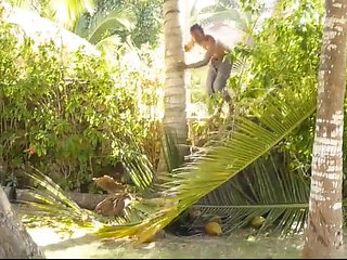 Coconut