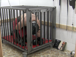 The slave in her cage
