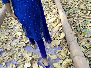 My Step Was Called to the Park Today and Put Her in the Room