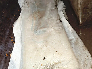 The moon came out in the train / I saw the sanitary pad of sister-in-law's on the train